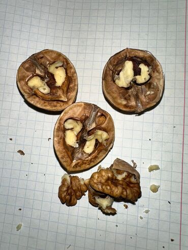 удобрение для малины: Продаю орехи грецкие 2,5 мешка примерно, в каждом мешке + 30 кг. Все