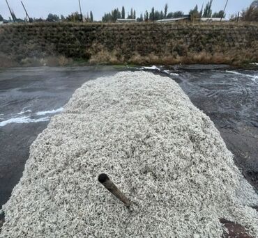 труба металлическая 100 мм цена бишкек: Жом камазом доставка по Московскому району