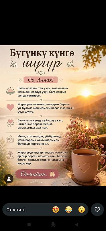 Шербет абрикосовый, домашний - Напиток «Шербет» на основе абрикоса - at lalafo.kg — 2 Шербет абрикосовый, домашний - Напиток «Шербет» на основе абрикоса - — 2