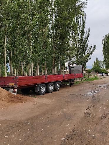споттер для кузова: Тягач, DAF, 2007 г., Без прицепа — 5