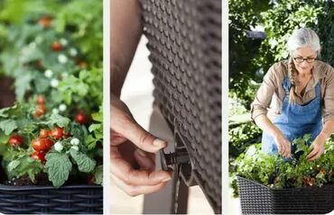 Žardinjere: *** AKCIJA *** 1374 Velika Žardinjera KETER Easy Growing; Raspoloživ — 7