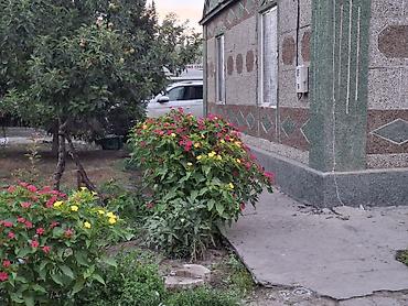 Дома: Продаётся жилой дом с участком и садом. - Дом одноэтажный с мансардой — 5