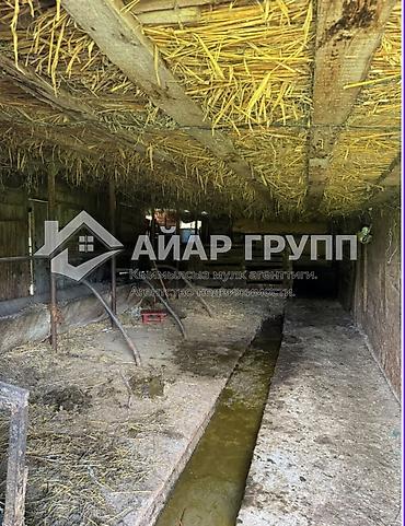 3 микр: 3 КВАРТИРЫ С БОЛЬШИМ ПРИУСАДЕБНЫМ УЧАСТКОМ КАРАКОЛ 📍 Совхоз Каракол — 10