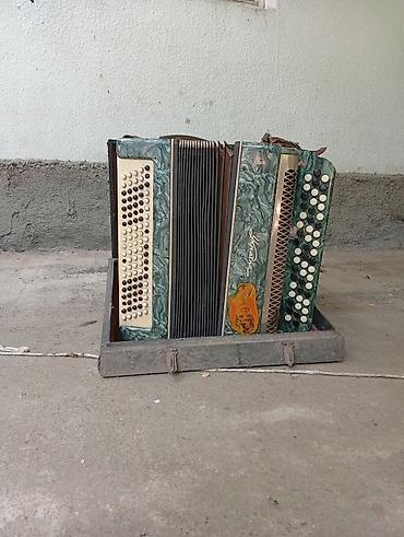 instrument: Баян “Украина” (трёхрядный, кнопочный) в фирменном чемодане — 2