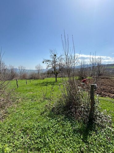 Torpaq sahələrinin satışı: 20 sot, Kənd təsərrüfatı, Mülkiyyətçi, Kupça (Çıxarış) — 2