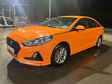 sonata for rent: Hyundai Sonata: 2019 г. — 1