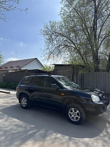 Hyundai: Hyundai Santa Fe: 2002 г., 2.4 л, Ручные, Бензин, Кроссовер — 3