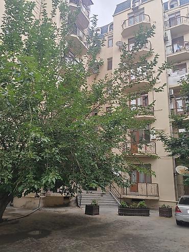 1 otaqli kiraye ev: 2 otaqlı, 40 kv. m, Yeni təmirli — 6