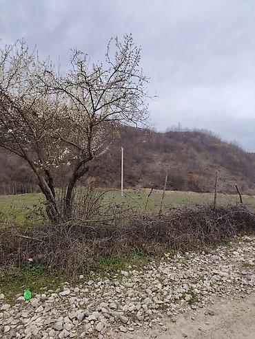 goy golde ucuz satılan evler: 14 sot, Tikinti, Barter mümkündür, Bələdiyyə — 6