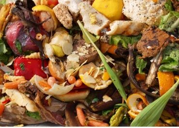 отходы для животных: Вывожу пищевые отходы с кафе ресторанов д садов столовые в любом
