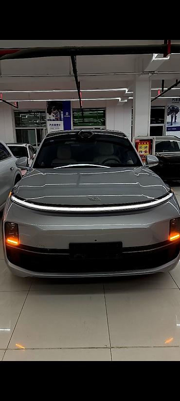 byd e6: Lixiang L9: 2024 г., Гибрид, Кроссовер — 1