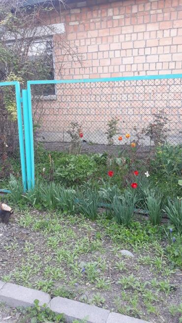үй сатылат ош: Коттедж, 84 кв. м, 4 бөлмө, Менчик ээси, Эски ремонт