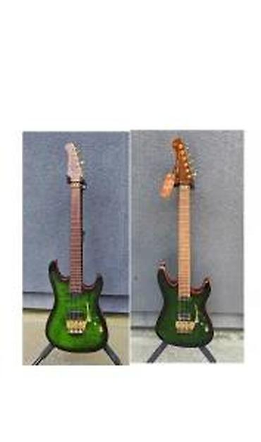 Gitare: HARLEY BENTON GUITAR MAX FUSION SIGNATURE EF | . Slanje po — 14