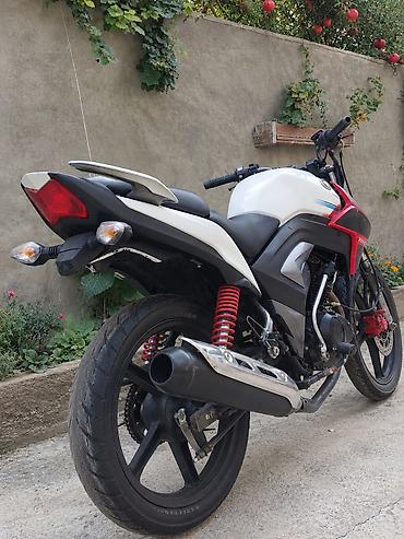 eylec diski: - XTR 250, 250 sm3 — 1