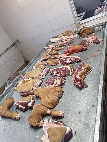 продам мясо: Касапчылык баардык кызматтарды жазайбыз - Цельная тушка молодого — 10