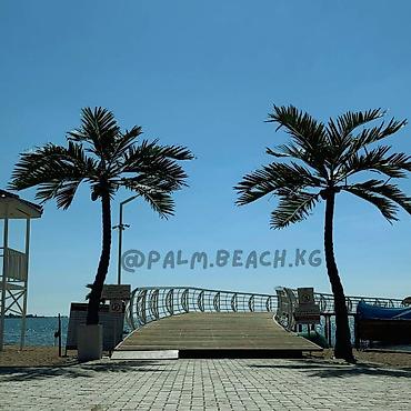 отдых в palm beach: Аренда квартиры на Иссык-Куле, Palm Beach, Чок-Тал, 6 мест, Цена Целиком за жилье — 8