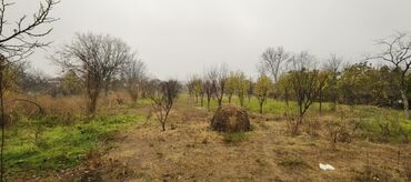 Torpaq sahələrinin satışı: 30 sot, Kənd təsərrüfatı, Mülkiyyətçi, Kupça (Çıxarış) — 1