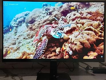 Мониторы: Монитор, Philips, Новый, LCD, 23" - 24" — 13