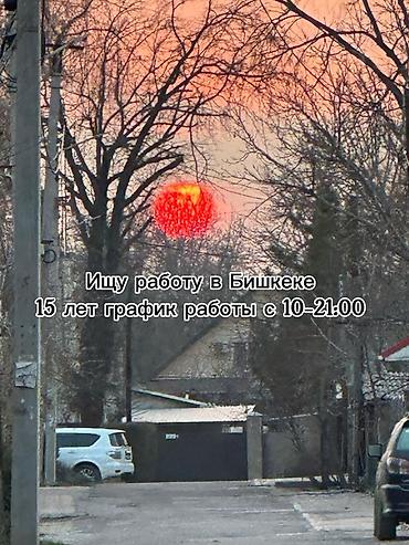 Работа: Услуга: ищу работу в Бишкеке. Возраст: 15 лет. Предпочтительный — 1