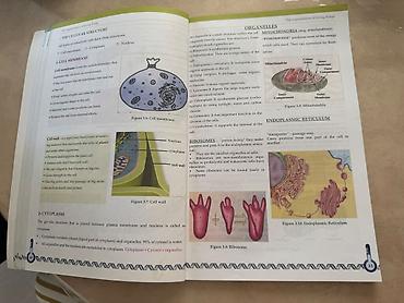 mekteb çanta: Məhsul: İngilis dilində “Biology” mövzularını əhatə edən tədris — 4