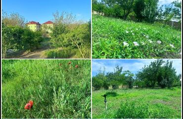 Bağ evlərinin satışı: Sumqayıt, 150 kv. m, 5 otaqlı, Hovuzlu, Kanalizasiya, Qaz, Su — 6