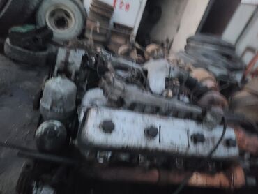 Грузовики: Грузовик, МАЗ — 3