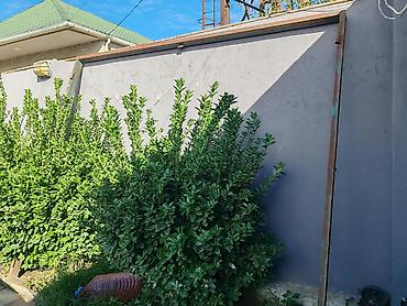 bayraq dirəyi: Metal darvaza dəsti 3x2.60m - Material: qalın metal vərəqdən — 3