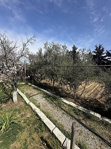 goradil: 12 sot, Tikinti, Maklerlər narahat etməsin, Texniki pasport — 7