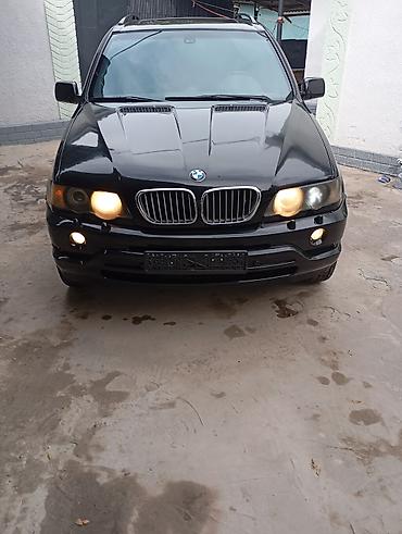 BMW: BMW X5: 2003 г., 4.4 л, Автомат, Бензин, Внедорожник — 3