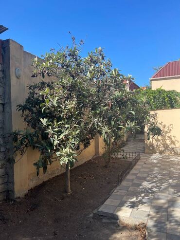 Uzunmüddətli kirayə evlər: 120 kv. m, 4 otaqlı — 10