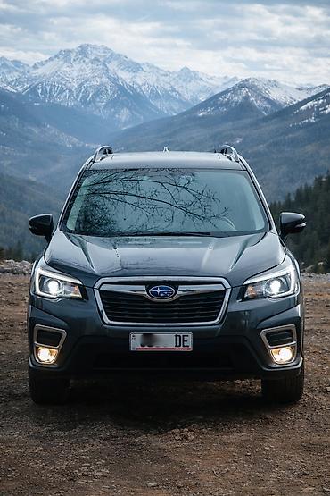 Subaru: Subaru Forester: 2019 г., 2.5 л, Вариатор, Бензин, Кроссовер — 1