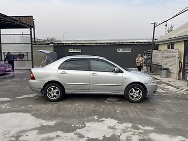 corolla runx: Toyota Corolla: 2003 г., 1.6 л, Автомат, Бензин, Седан — 6