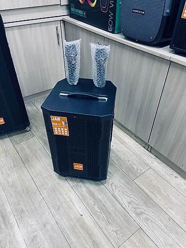караоке продаю: Портативная акустическая система JAW (партийная/караоке-колонка) - — 2