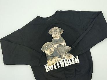 bluza dzik: Forever 21, Bluza damska
, rozmiar S — 1