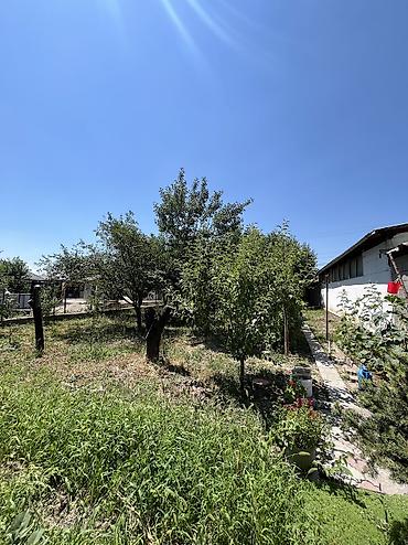 Продажа коттеджей и домов: 4 комнаты, 272 м², 9 соток, Бишкек, Мыкан с. Агентство недвижимости — 27