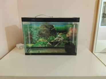 Dördbucaq akvarium, Boş, 16 l