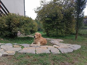 Kuća na dan: Božićno dekorisana planinska kuća za odmor i uživanje. 145m2 i 11 — 27