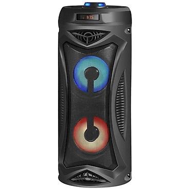 dinamik dayagi: G70 Portativ Akustik Sistem – 12W Simsiz Dinamik (Mikrofon Dəstəkli) — 1