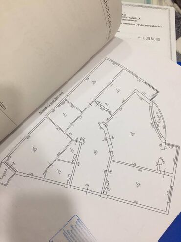 Yeni tikili: 4 otaqlı, Yeni tikili, m. Xalqlar Dostluğu, 203 kv. m — 11