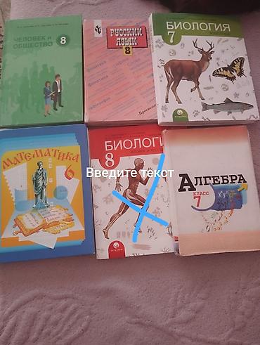 математика курс: Учебники для школы, 6–9 классы. В наборе на фото: - Химия, 9 класс — — 1