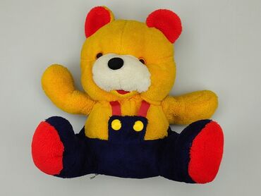 kolorowy podkoszulek: Mascot Teddy bear, condition - Good