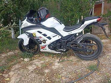 kawasaki ninja 250: Спортивный мотоцикл в белом цвете с полным обтекателем. Основные — 2