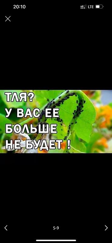 Дворники, садовники: 🌱Я садовник обработка сада ранее весенней обработка плодовых — 8