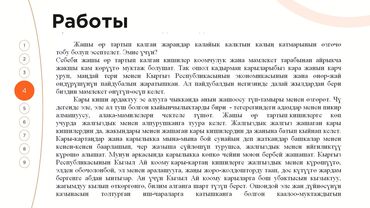 Услуги переводчика: Услуги переводчика, Английский — 11