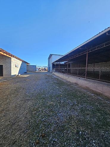 Продажа коттеджей и домов: 🔥🔥🔥Продается современный кошар с домом в селе Чокморов — 3