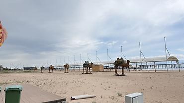 Посуточная аренда домов: “ASIA PALASE” КОТТЕДЖ, ВИП ГОРОДОК 📍САРЫ-ОЙ БАЛДАР АЯНТЧАСЫУНАА — 41