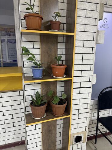 Офисные столы: Офисный столдор сатылат! Размерлери: 120х60, высота 70 см, 2490 сом — 5