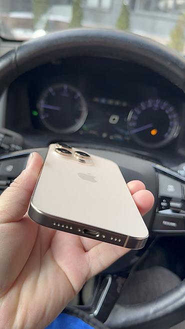 Apple iPhone: IPhone 16 Pro, Б/у, 256 ГБ, 90 % — 9