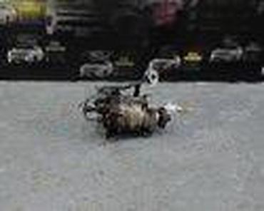 Car Engine Parts: PUMPA 1.8 TDCI ZA FORD FOCUS OD 1998. DO 2005. GOD. | SMEDEREVSKA — 3