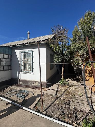 дома киргизия 1: 4 комнаты, 60 м², 7 соток, Новопокровка, Собственник — 10
